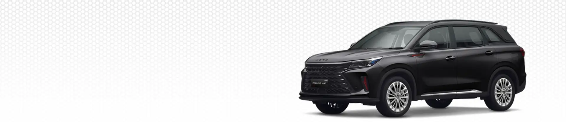 Formulario de contacto DFSK